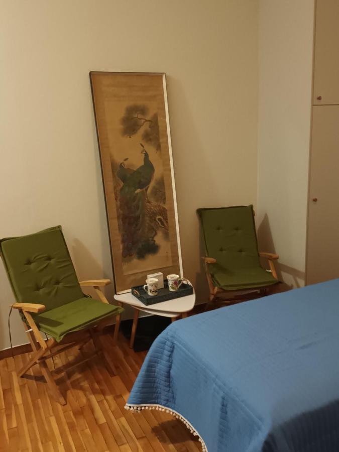 Στούντιο Διπλα Στην Ακρόπολη Appartement Athene Buitenkant foto